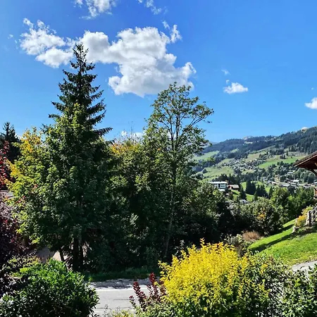 Le Replan - Confort, Lumiere Et Nature A Deux Pas Des Pistes Mae-0841 Alpehytte Les Gets